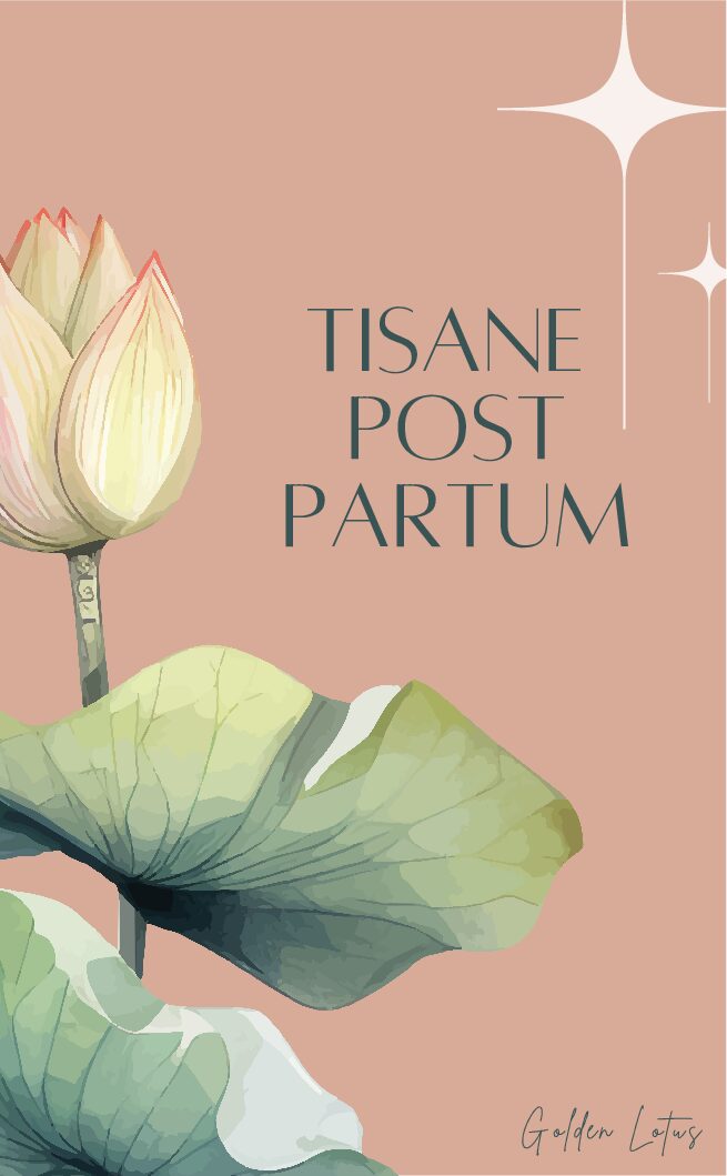 TISANE POST PARTUM