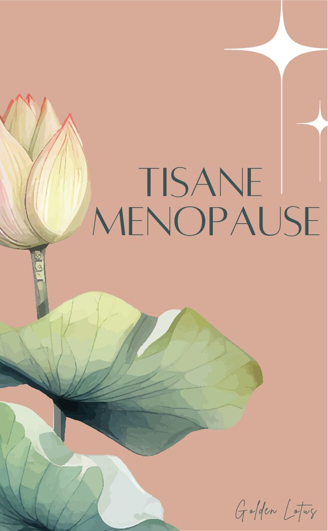 TISANE CANDIDOSE FLORE INTIME