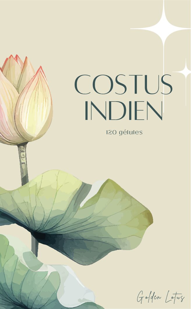 COSTUS INDIEN