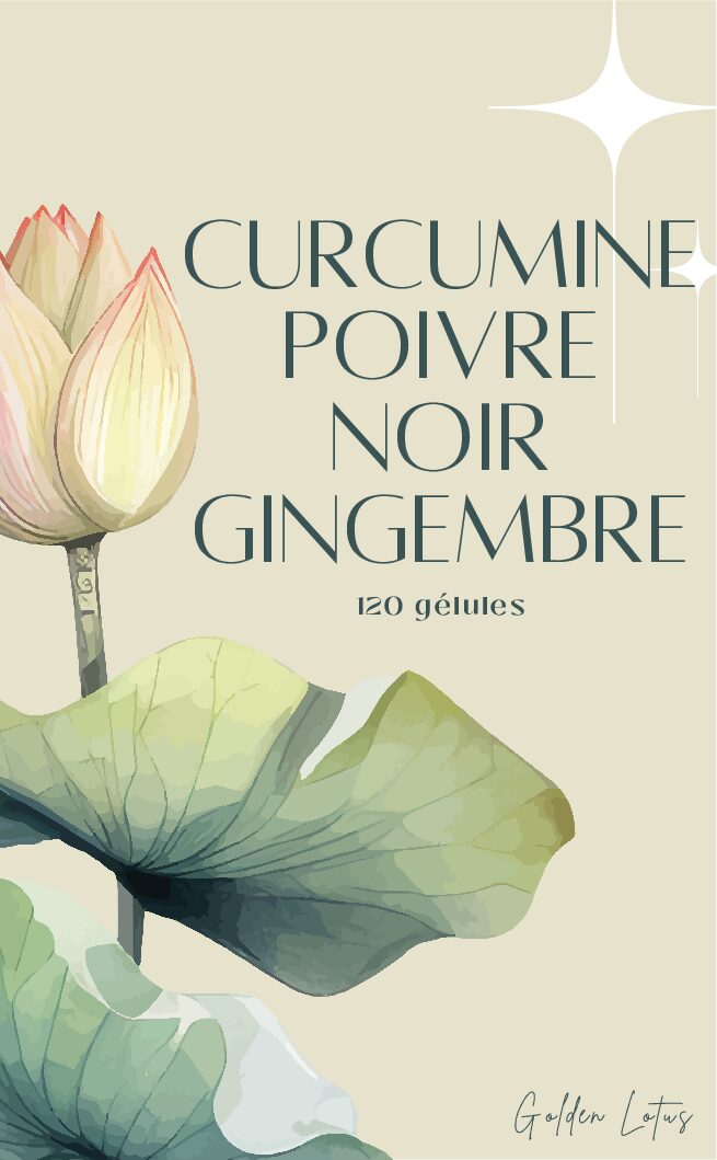 CURCUMINE/POIVRE NOIR/GINGEMBRE