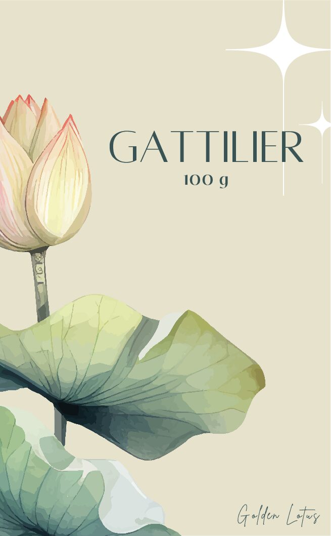 GATTILIER